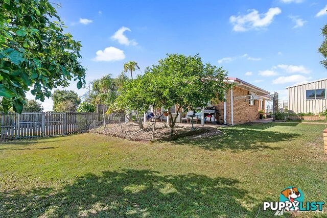 3 Morobe Street KAWUNGAN QLD 4655