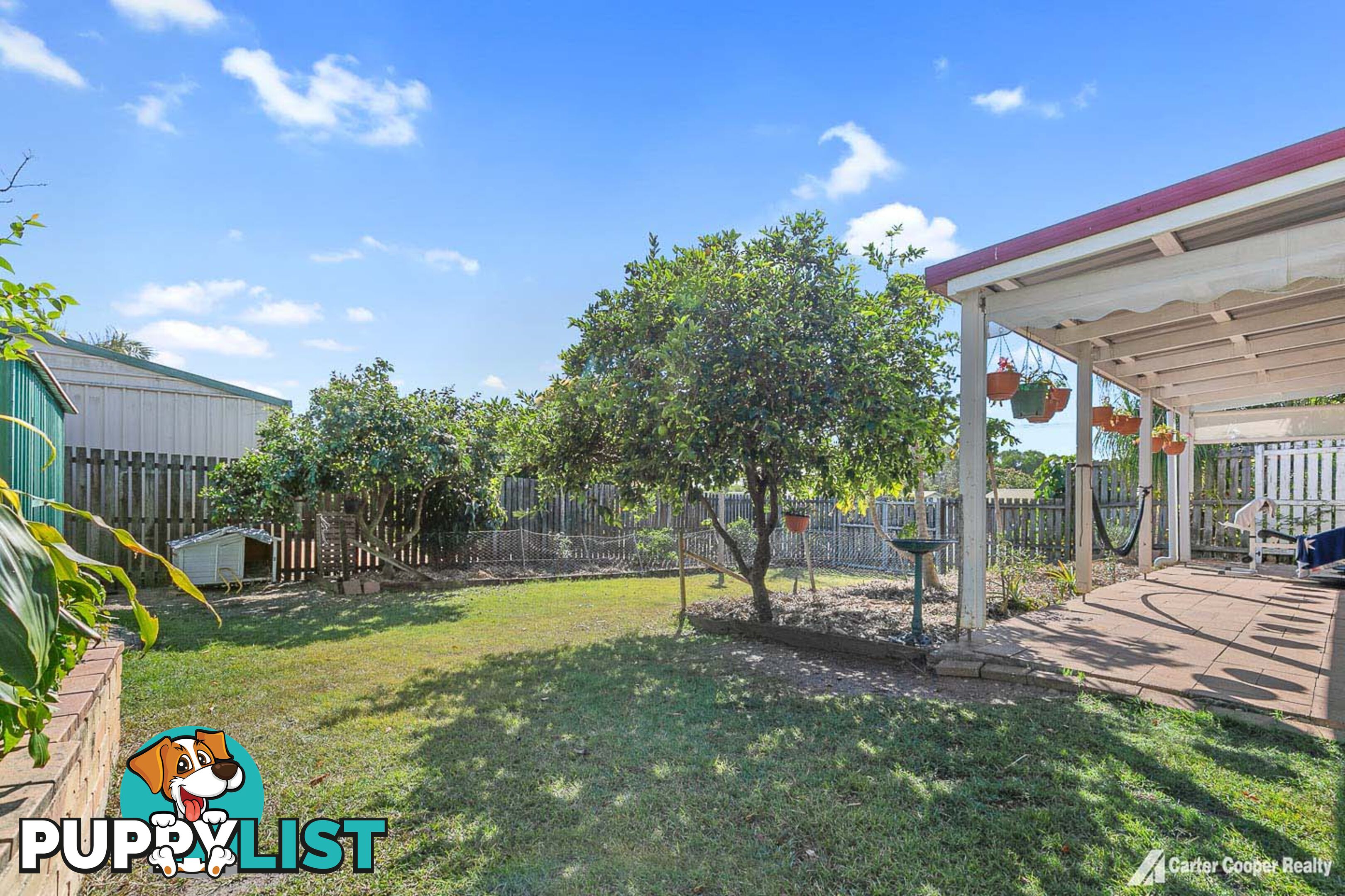 3 Morobe Street KAWUNGAN QLD 4655