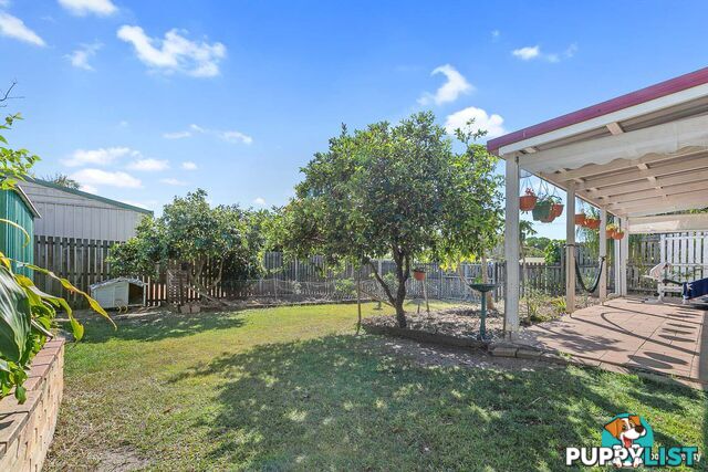 3 Morobe Street KAWUNGAN QLD 4655