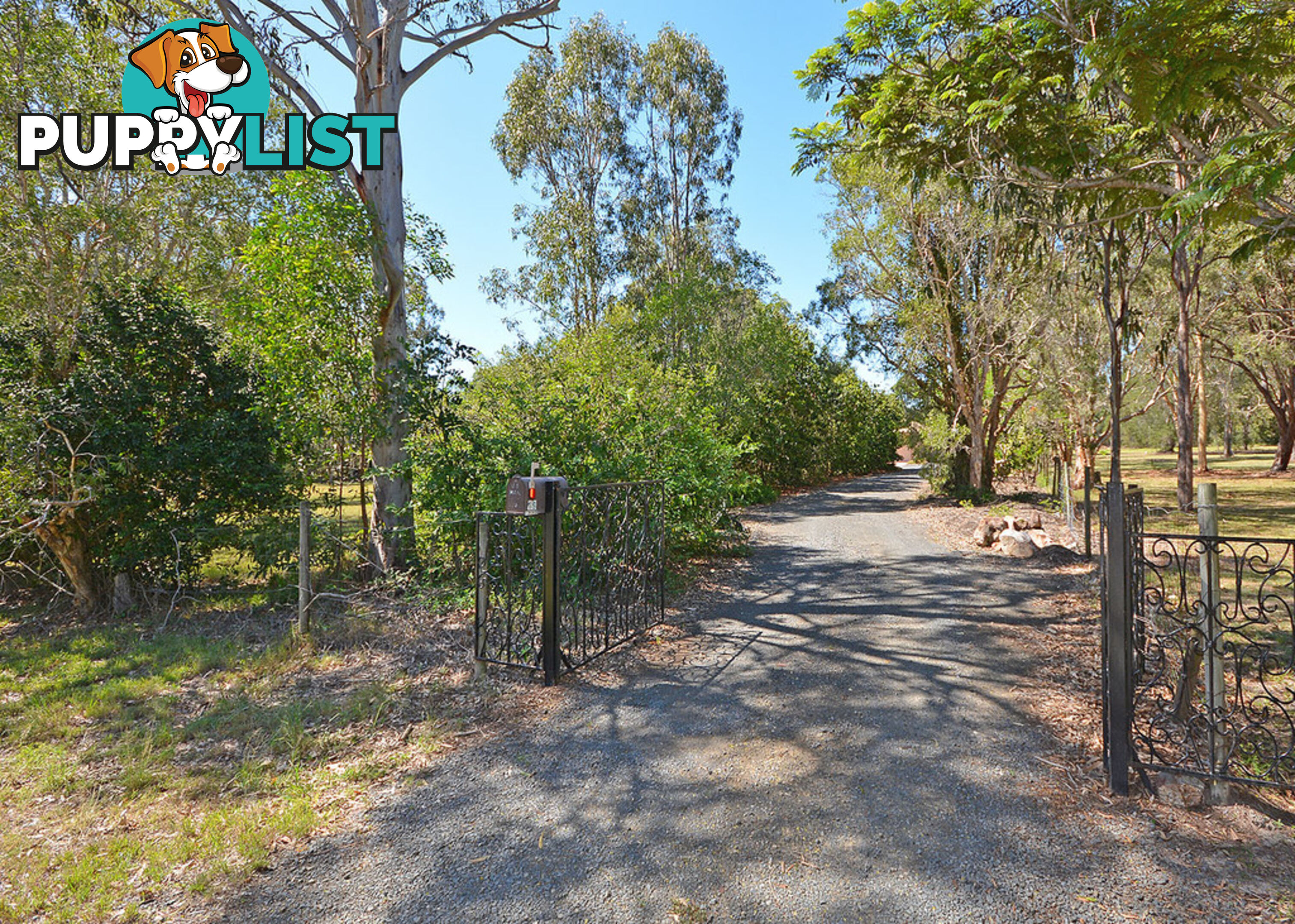 19 Burralong Drive WONDUNNA QLD 4655