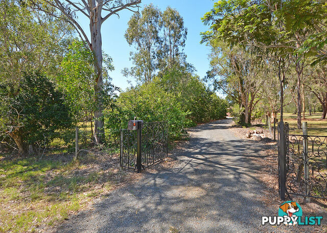 19 Burralong Drive WONDUNNA QLD 4655