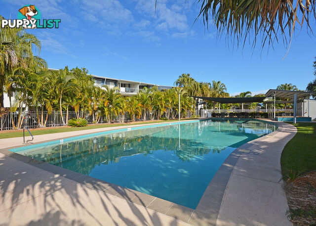 61/68 Pulgul Street URANGAN QLD 4655