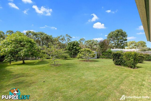 120 Snapper Street KAWUNGAN QLD 4655