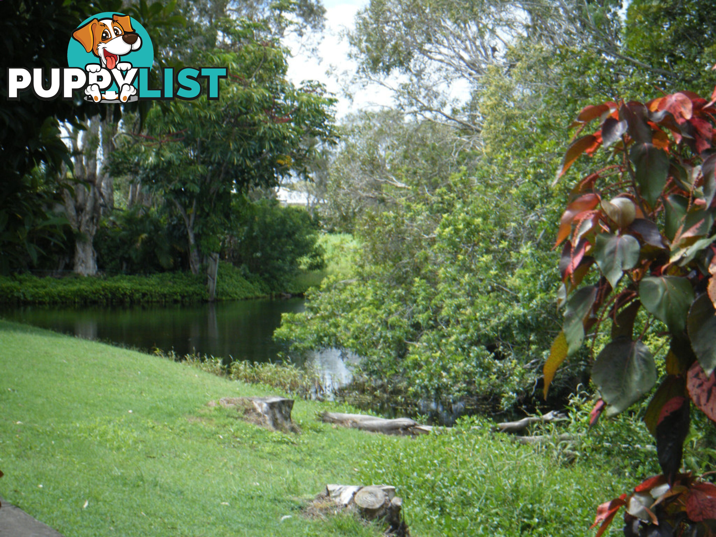 59 Truro Street TORQUAY QLD 4655