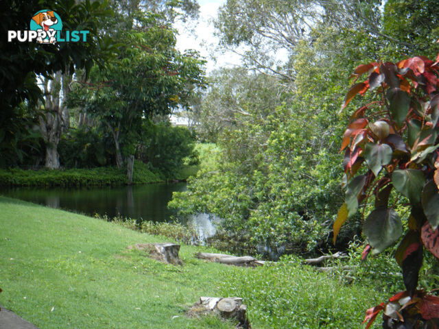 59 Truro Street TORQUAY QLD 4655