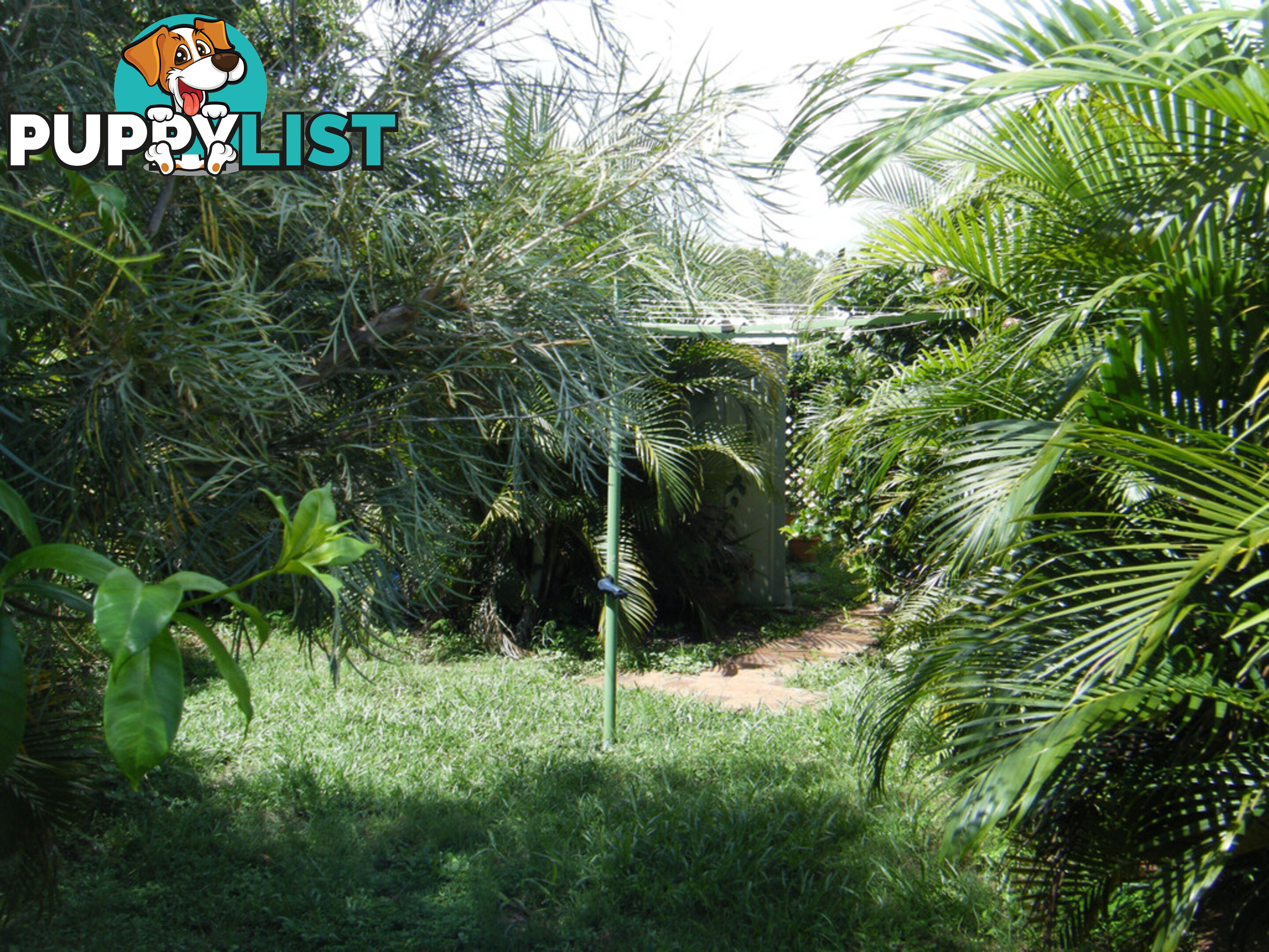 59 Truro Street TORQUAY QLD 4655