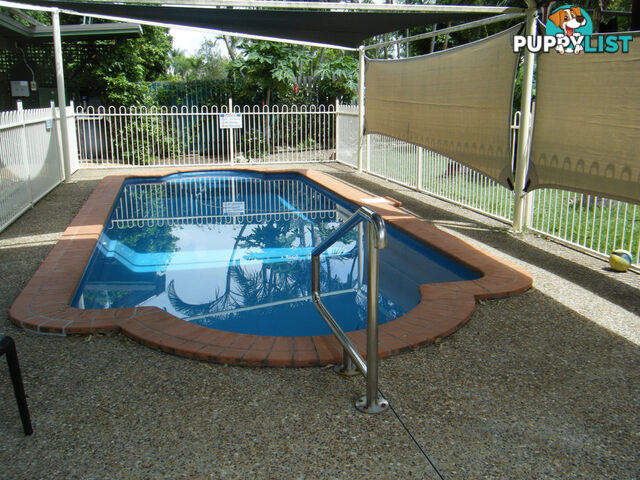 59 Truro Street TORQUAY QLD 4655