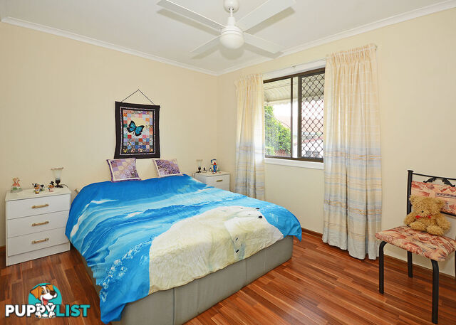 8 Maureen Court POINT VERNON QLD 4655