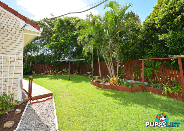 8 Maureen Court POINT VERNON QLD 4655