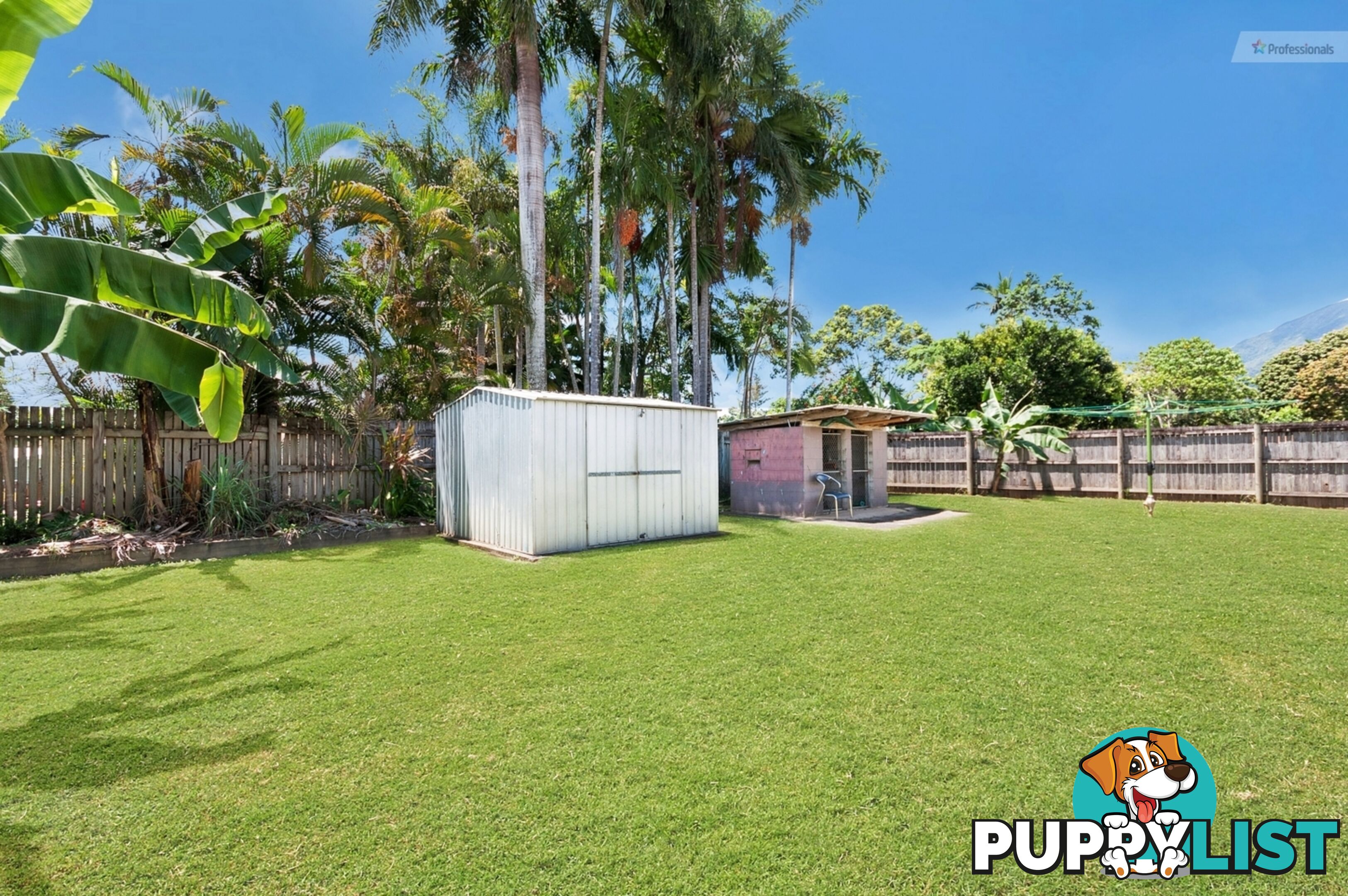 6 Tryal Street Bentley Park QLD 4869