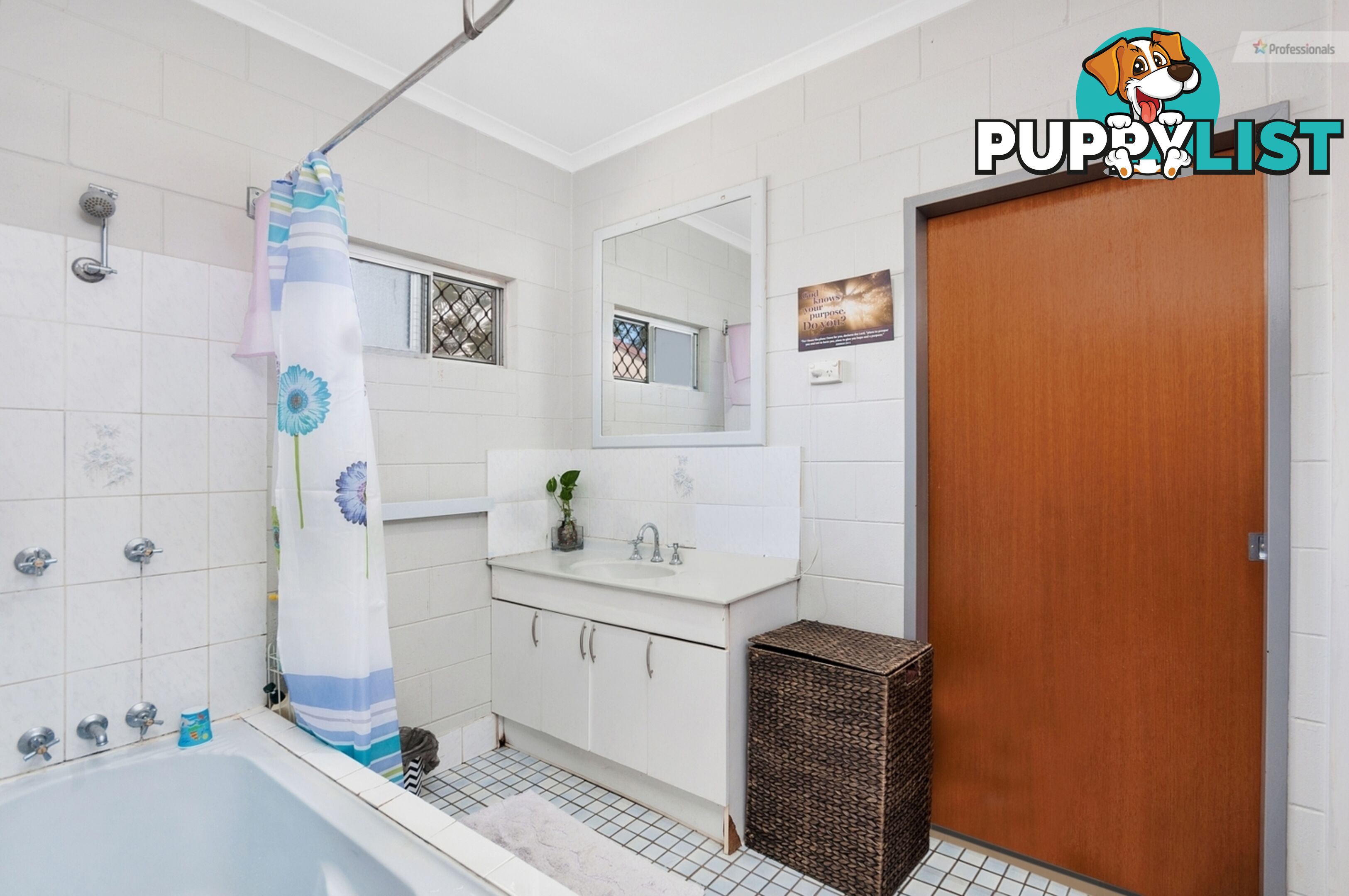 6 Tryal Street Bentley Park QLD 4869