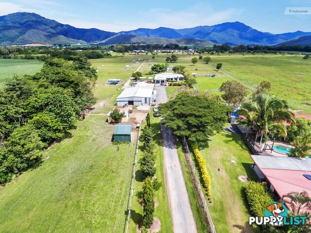 109 DEXTER Road Gordonvale QLD 4865