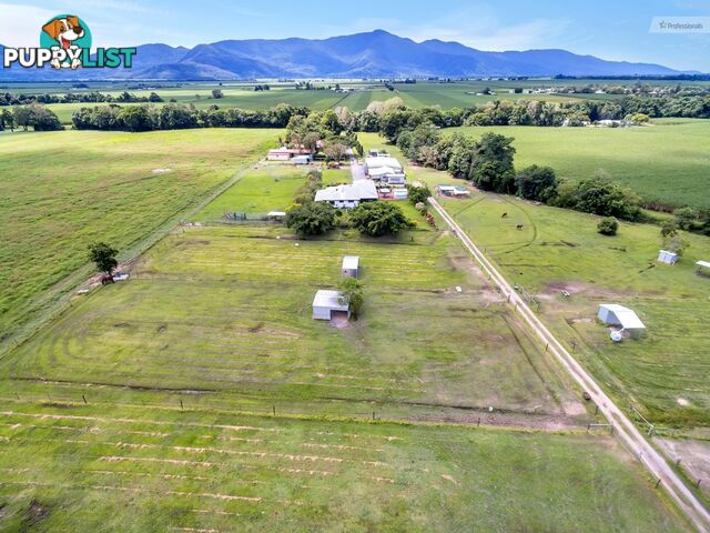 109 DEXTER Road Gordonvale QLD 4865