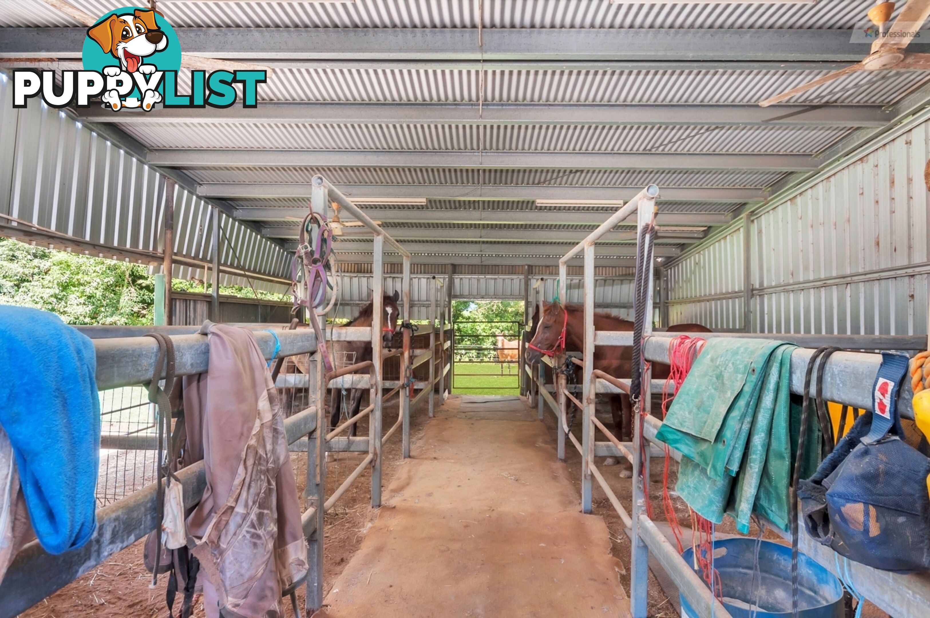 109 DEXTER Road Gordonvale QLD 4865