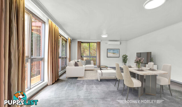 6 5 Kooyong Road Caulfield North VIC 3161