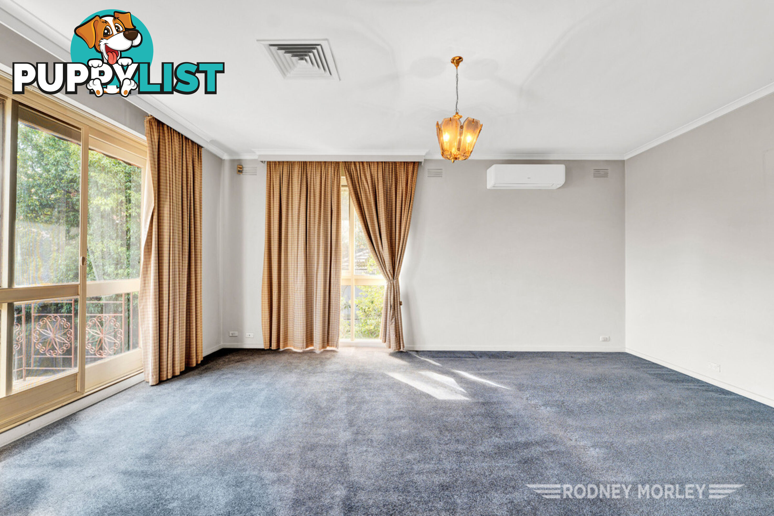 6 5 Kooyong Road Caulfield North VIC 3161