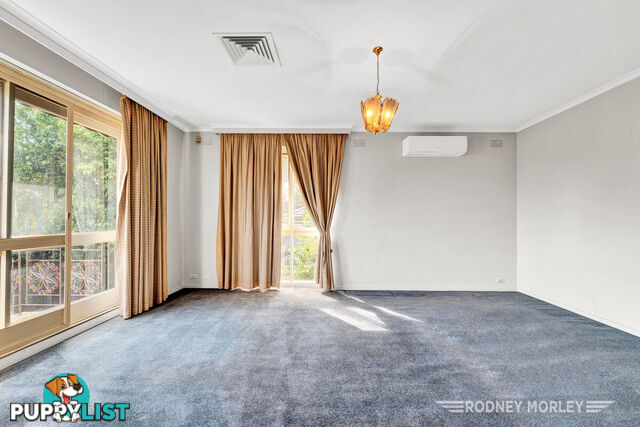 6 5 Kooyong Road Caulfield North VIC 3161