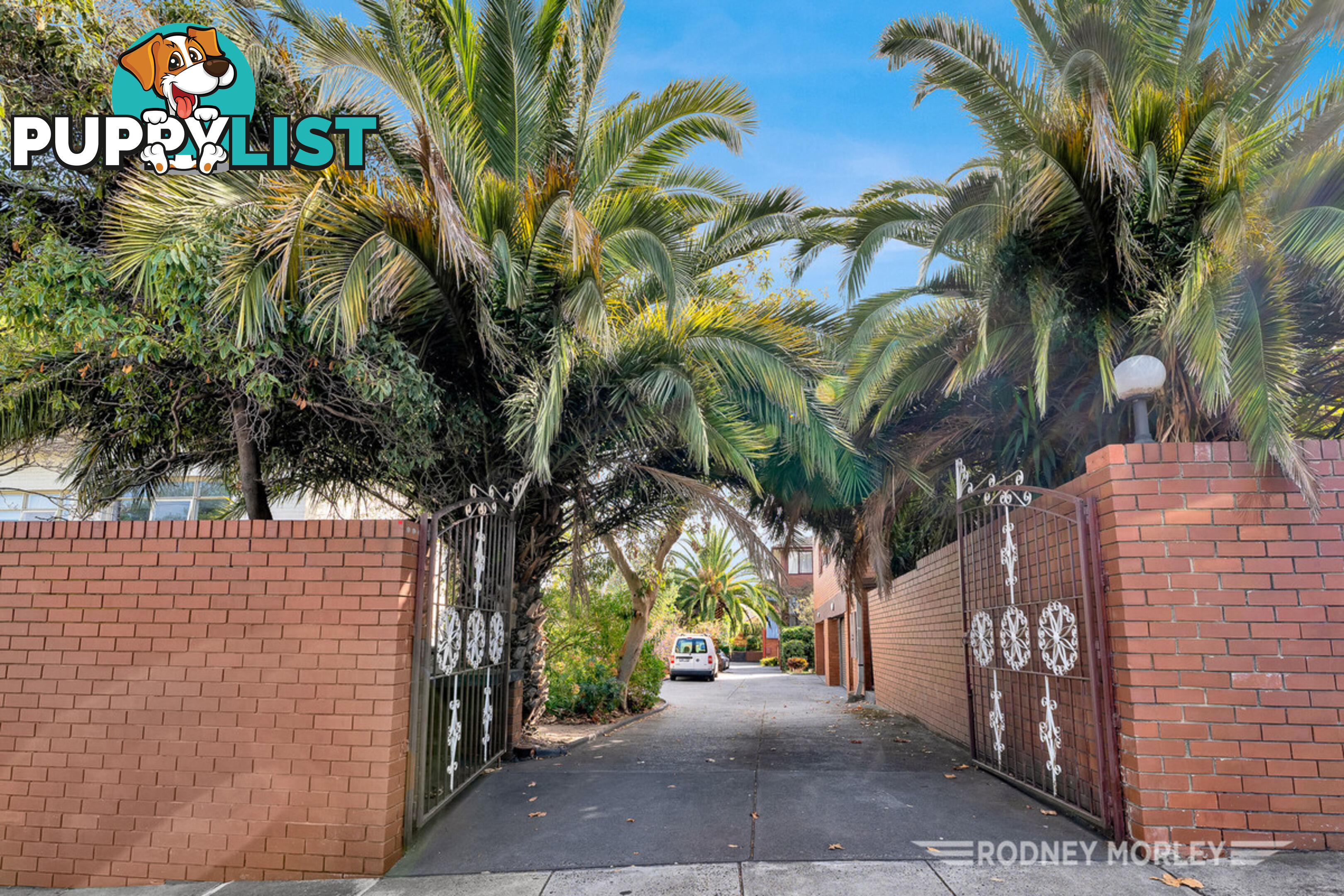 6 5 Kooyong Road Caulfield North VIC 3161