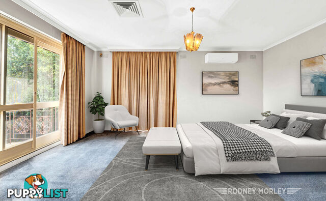 6 5 Kooyong Road Caulfield North VIC 3161