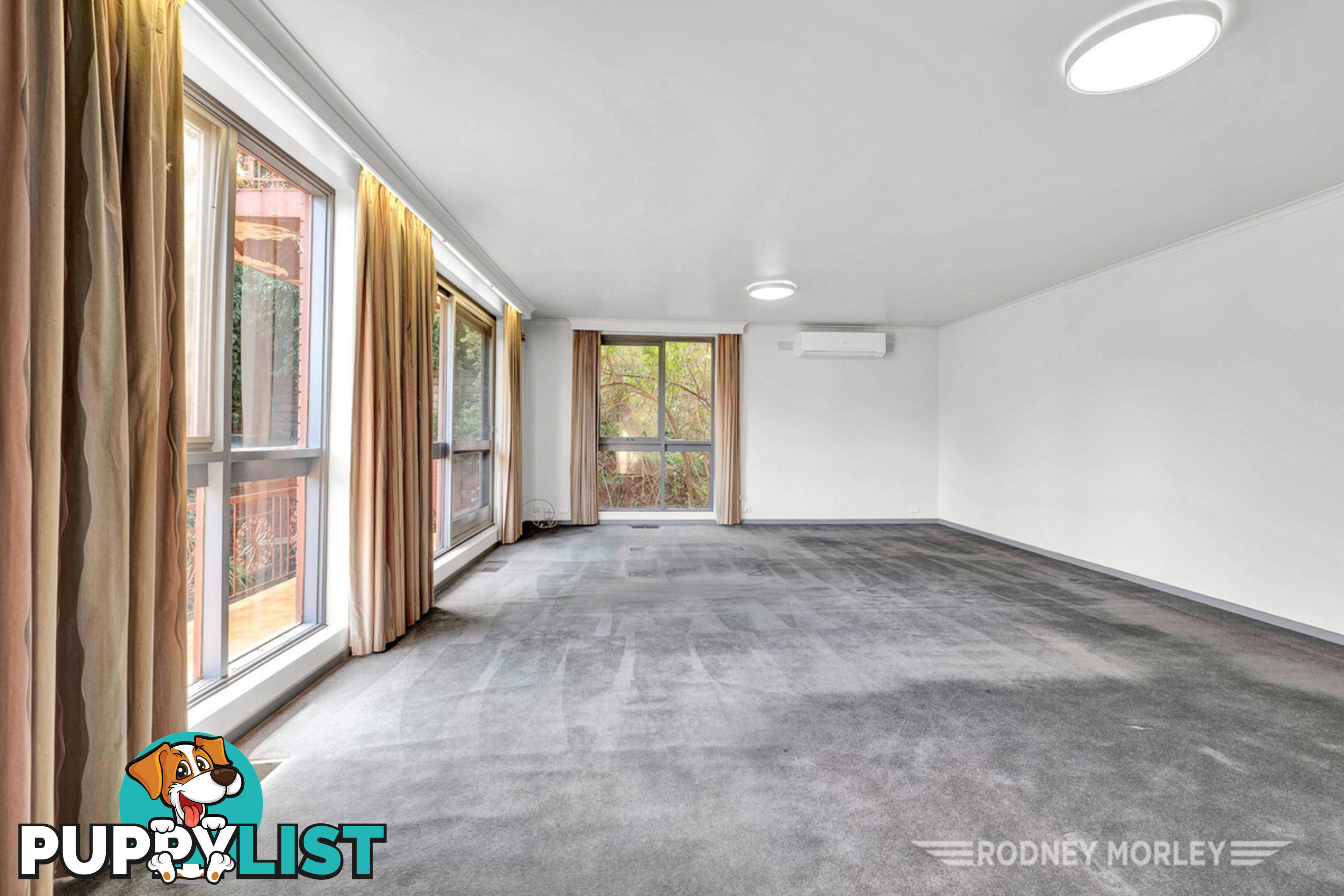6 5 Kooyong Road Caulfield North VIC 3161
