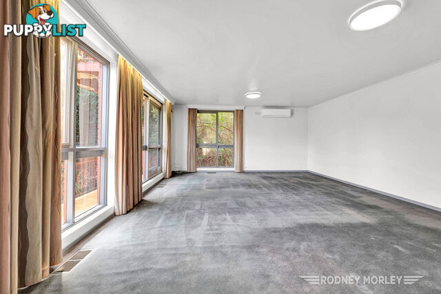 6 5 Kooyong Road Caulfield North VIC 3161