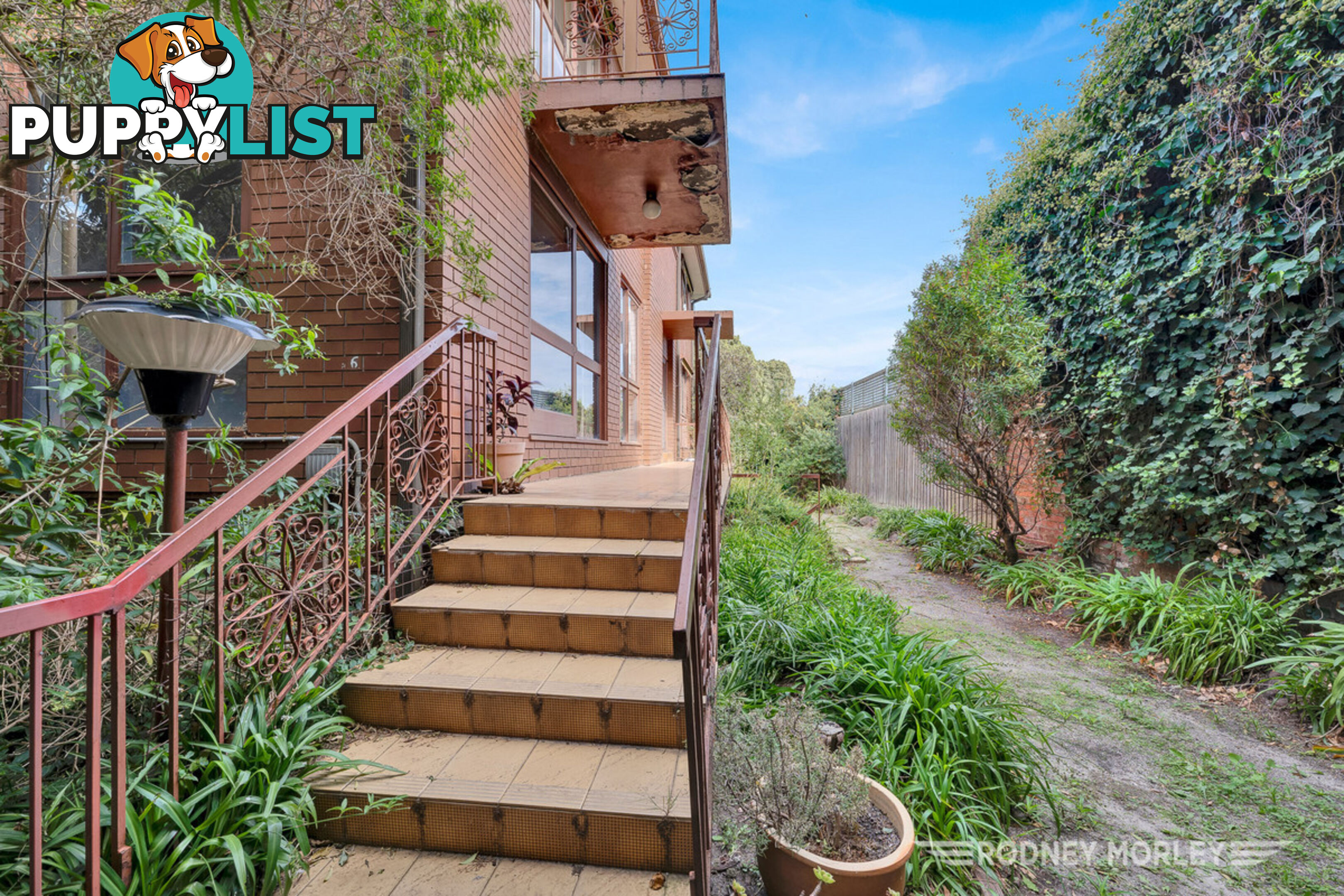 6 5 Kooyong Road Caulfield North VIC 3161