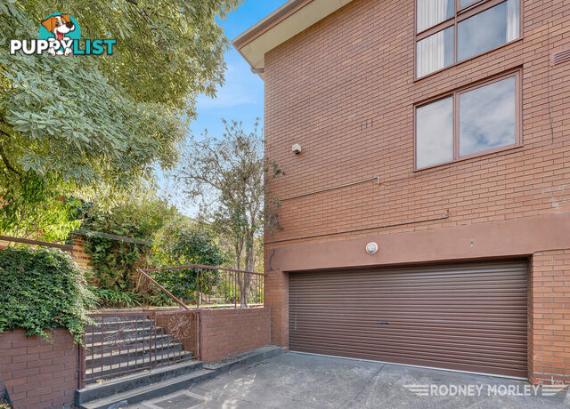 6 5 Kooyong Road Caulfield North VIC 3161