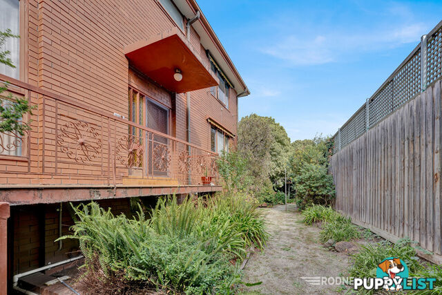 6 5 Kooyong Road Caulfield North VIC 3161