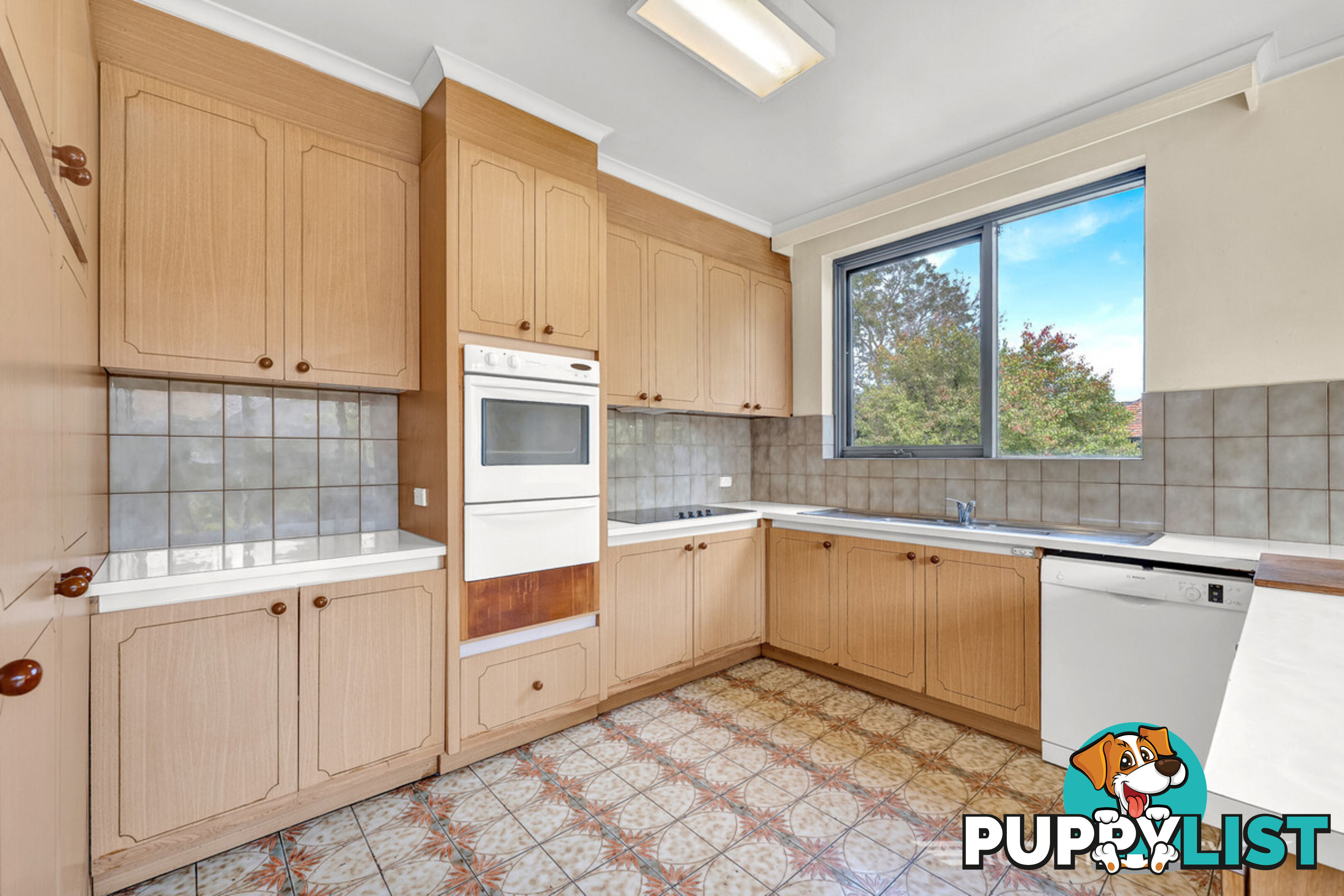 6 5 Kooyong Road Caulfield North VIC 3161