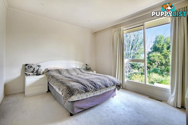 2 468 Glen Eira Road CAULFIELD VIC 3162