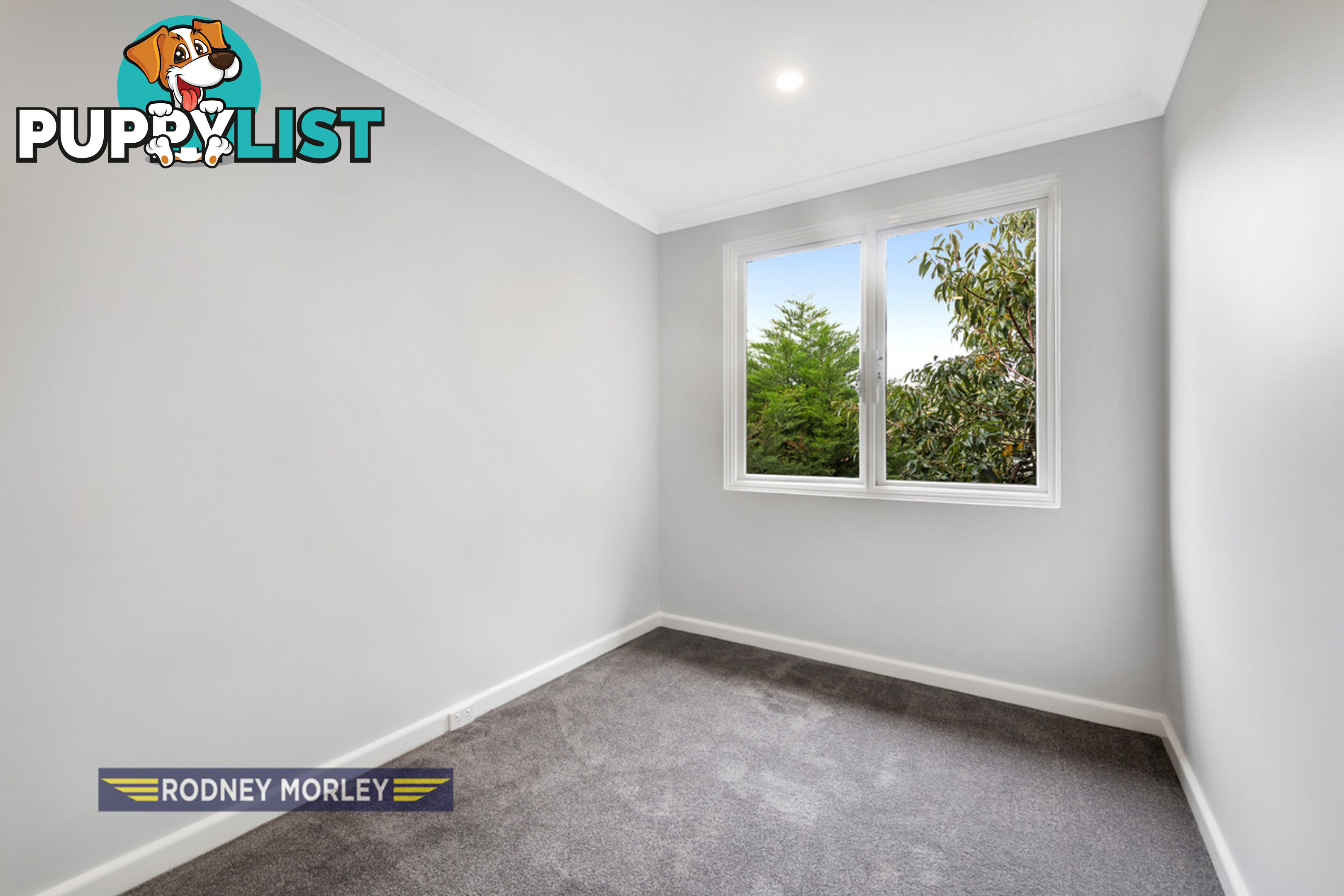 16 4 Glyndebourne Avenue Toorak VIC 3142