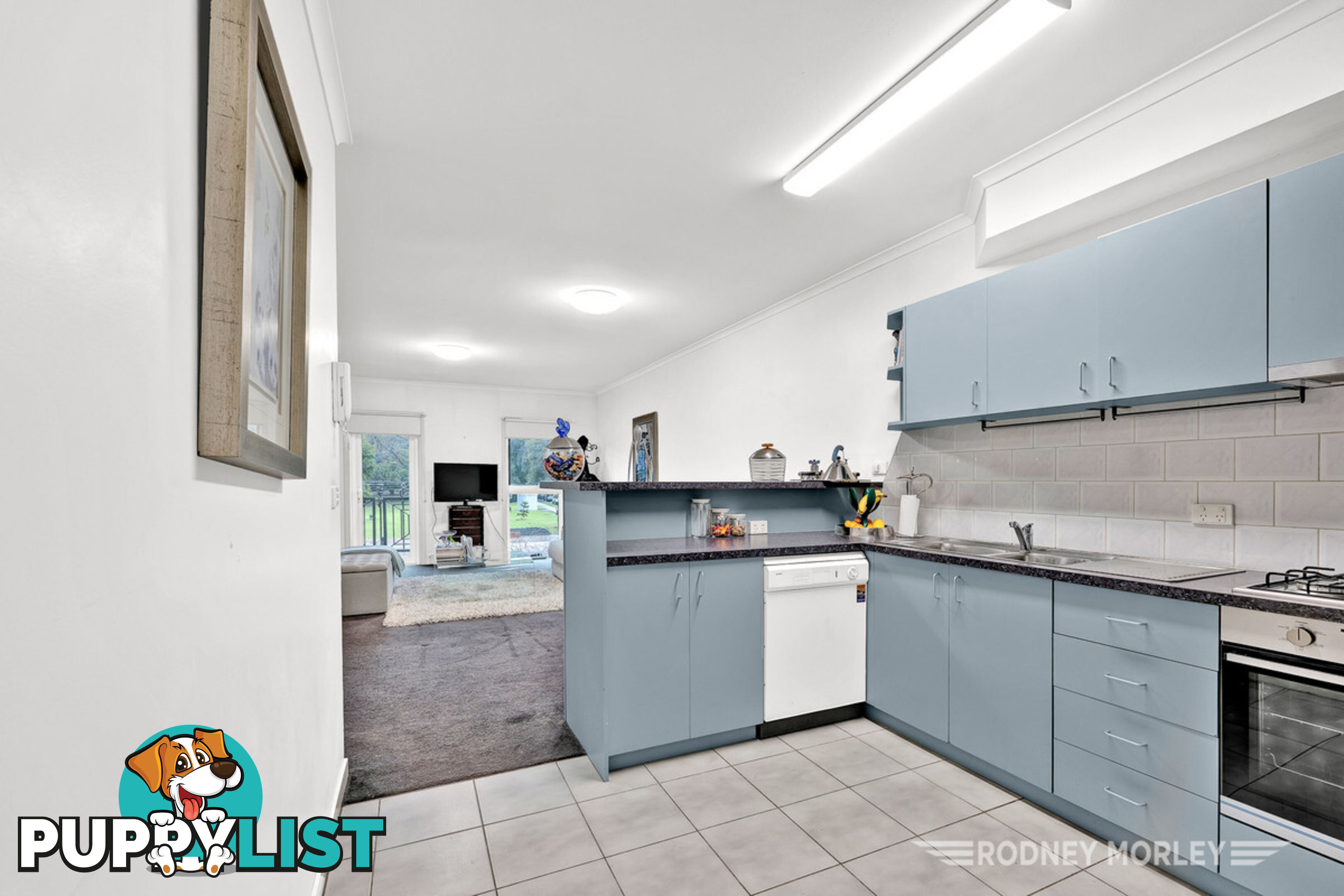 8 96 Hawthorn Road CAULFIELD NORTH VIC 3161