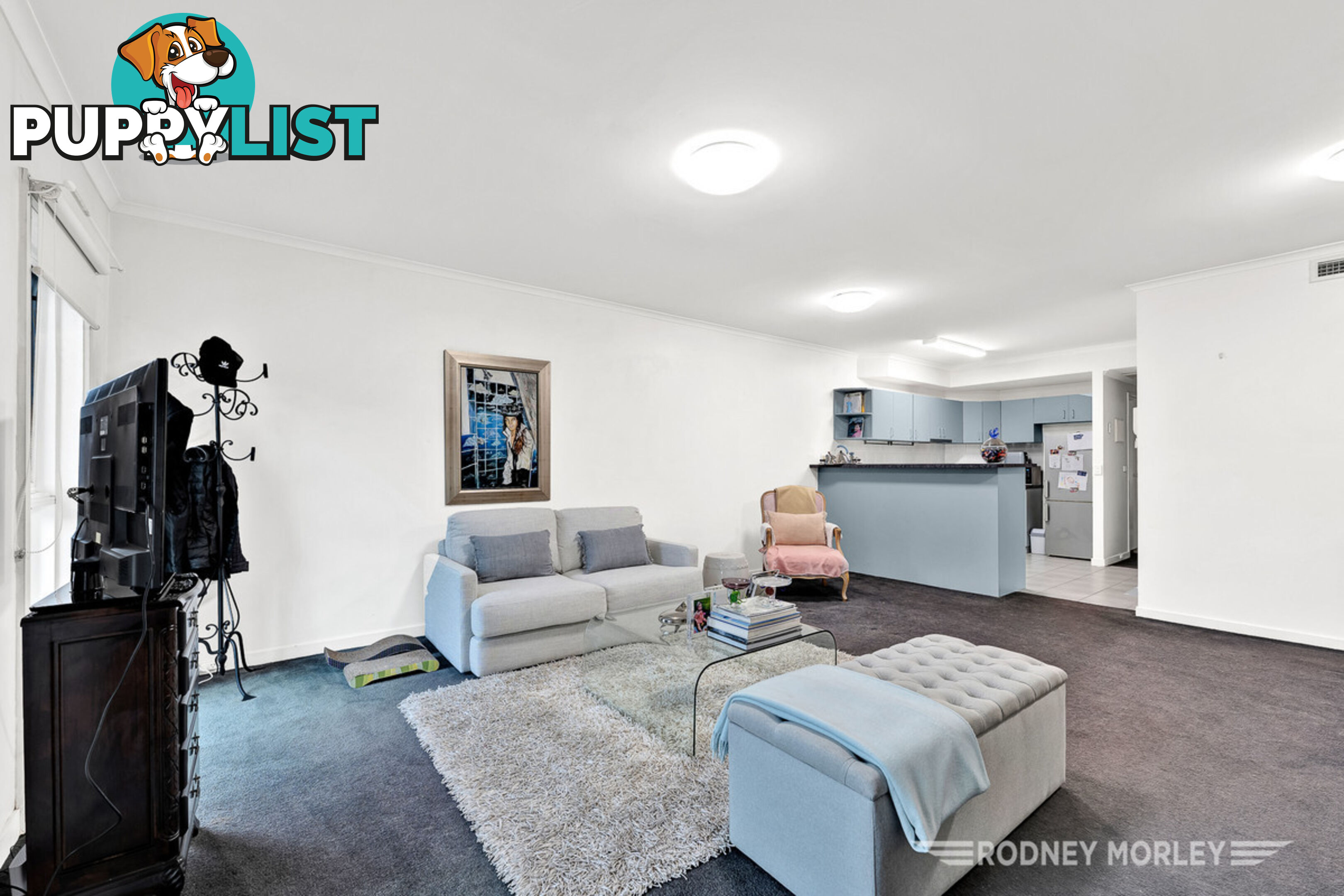 8 96 Hawthorn Road CAULFIELD NORTH VIC 3161