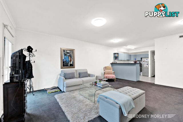 8 96 Hawthorn Road CAULFIELD NORTH VIC 3161