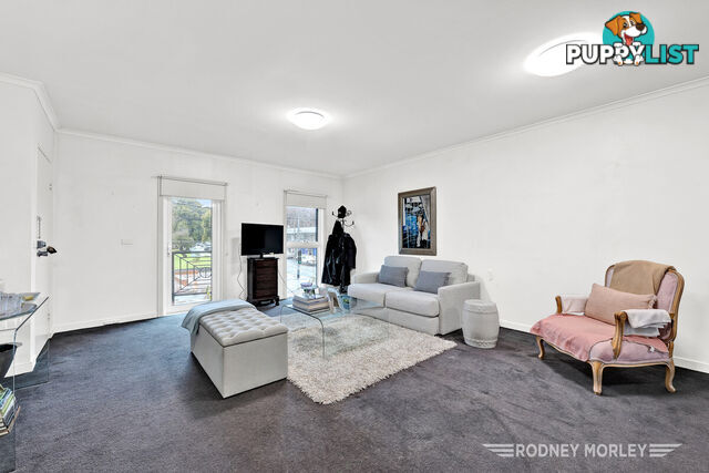 8 96 Hawthorn Road CAULFIELD NORTH VIC 3161