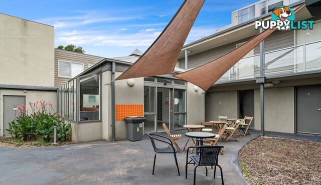 52 15 Hawthorn  Road Caulfield North VIC 3161