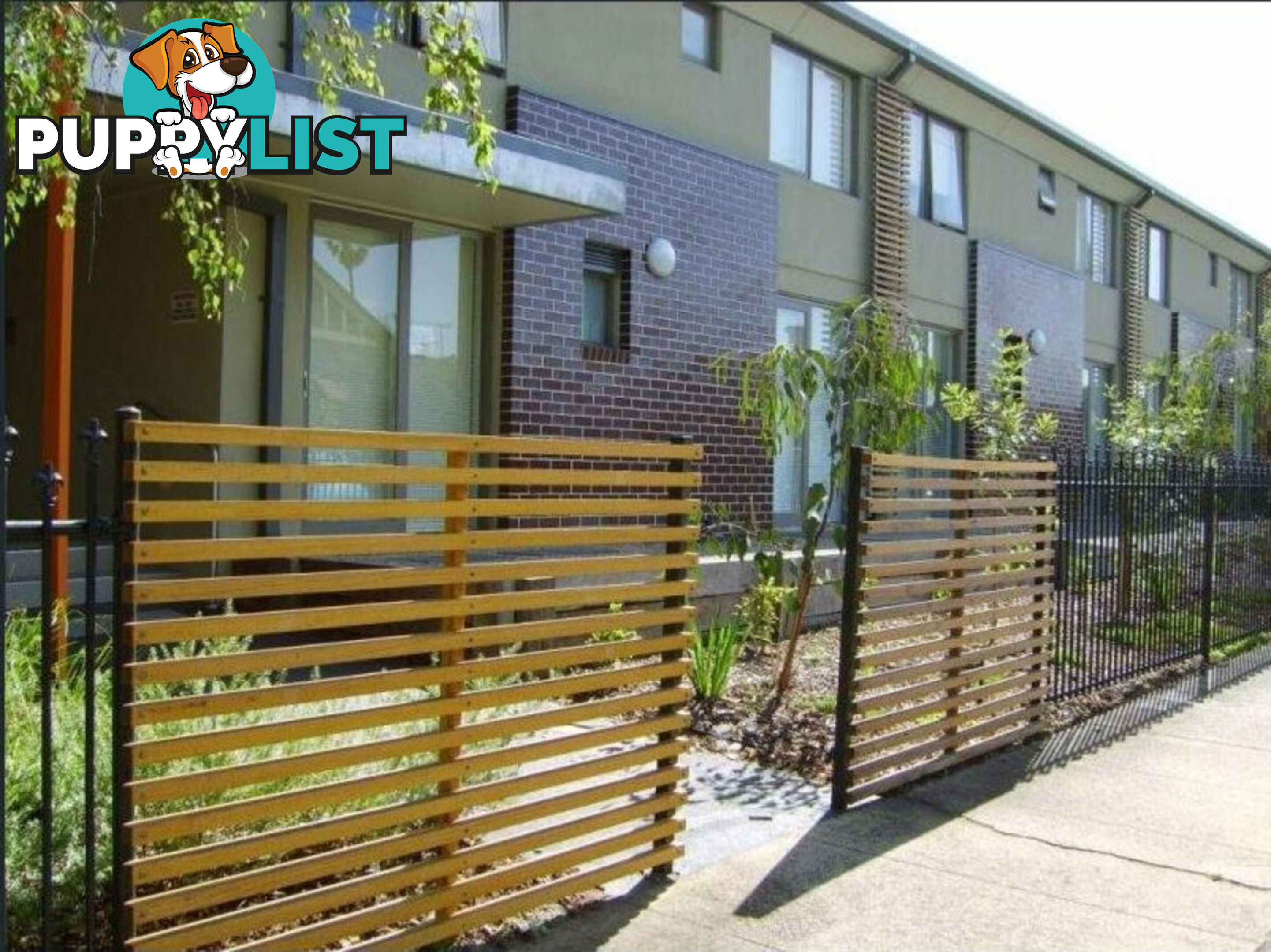 52 15 Hawthorn  Road Caulfield North VIC 3161