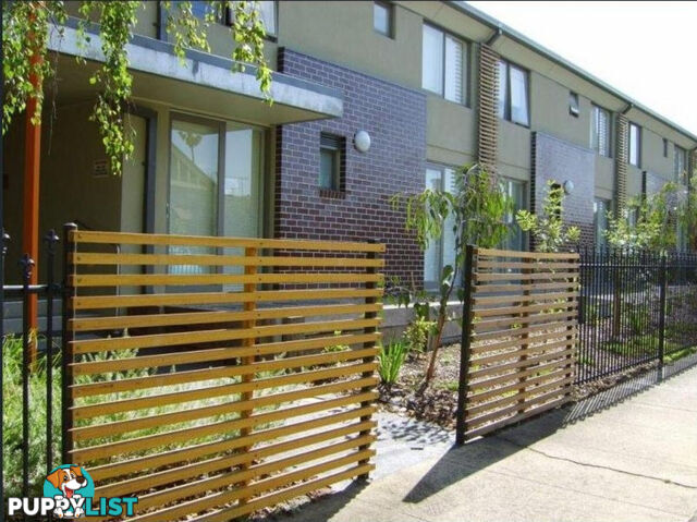 52 15 Hawthorn  Road Caulfield North VIC 3161