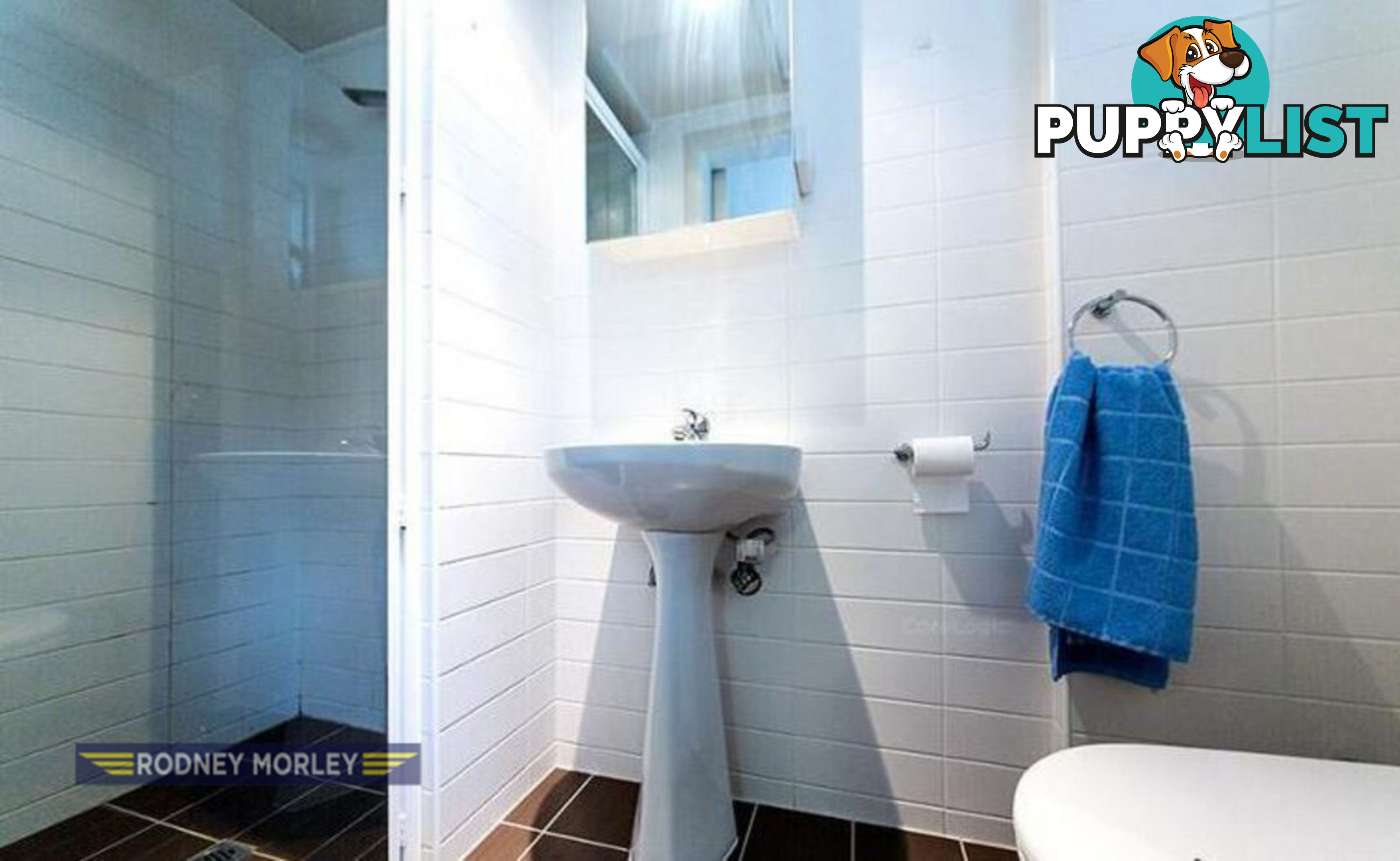 52 15 Hawthorn  Road Caulfield North VIC 3161