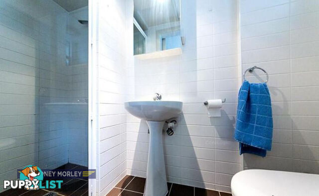 52 15 Hawthorn  Road Caulfield North VIC 3161