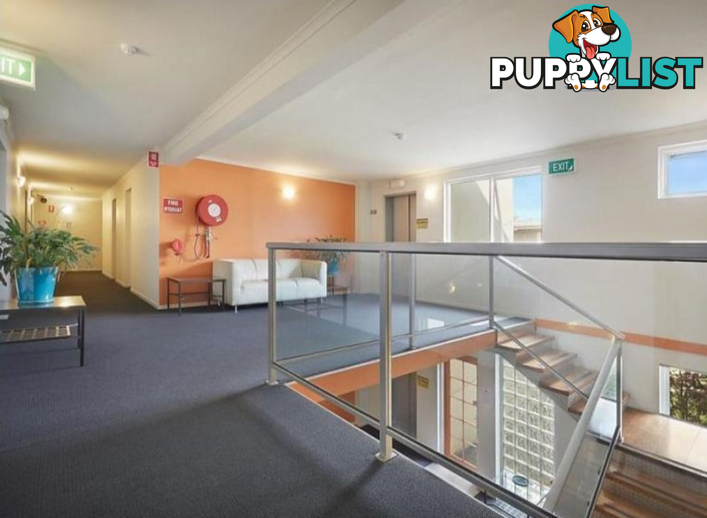 52 15 Hawthorn  Road Caulfield North VIC 3161