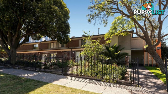 52 15 Hawthorn  Road Caulfield North VIC 3161
