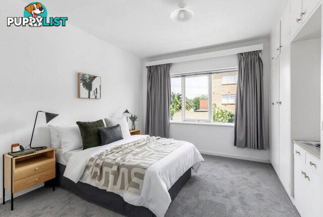 6 310 Dandenong Road ST KILDA EAST VIC 3183