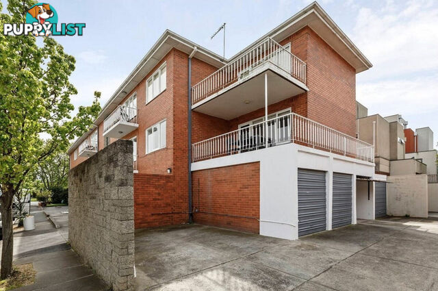 6 310 Dandenong Road ST KILDA EAST VIC 3183