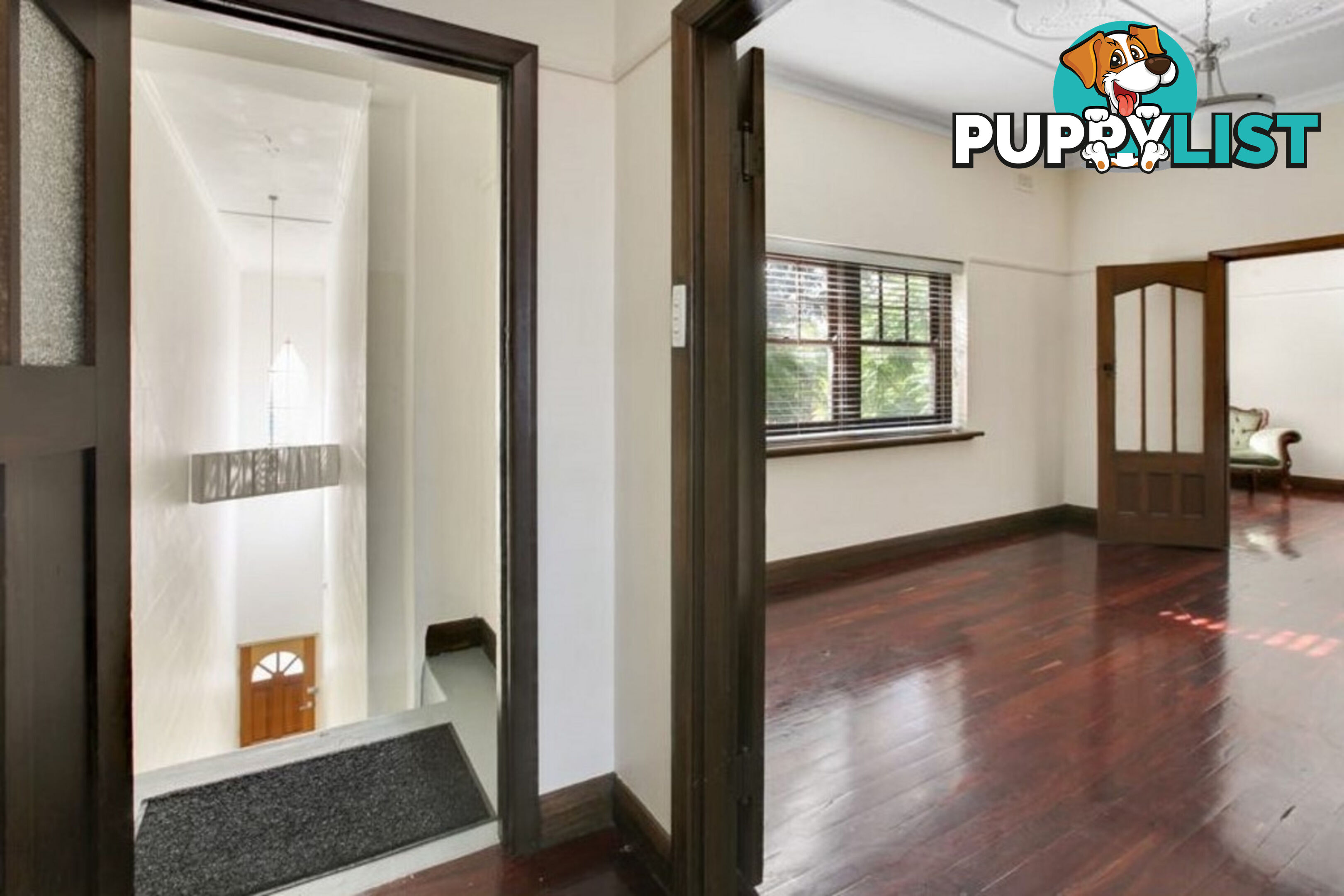 258A Glen Eira Road Elsternwick VIC 3185
