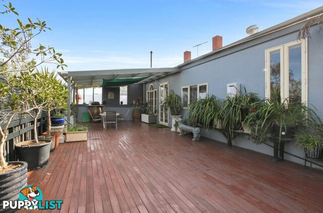 258A Glen Eira Road Elsternwick VIC 3185