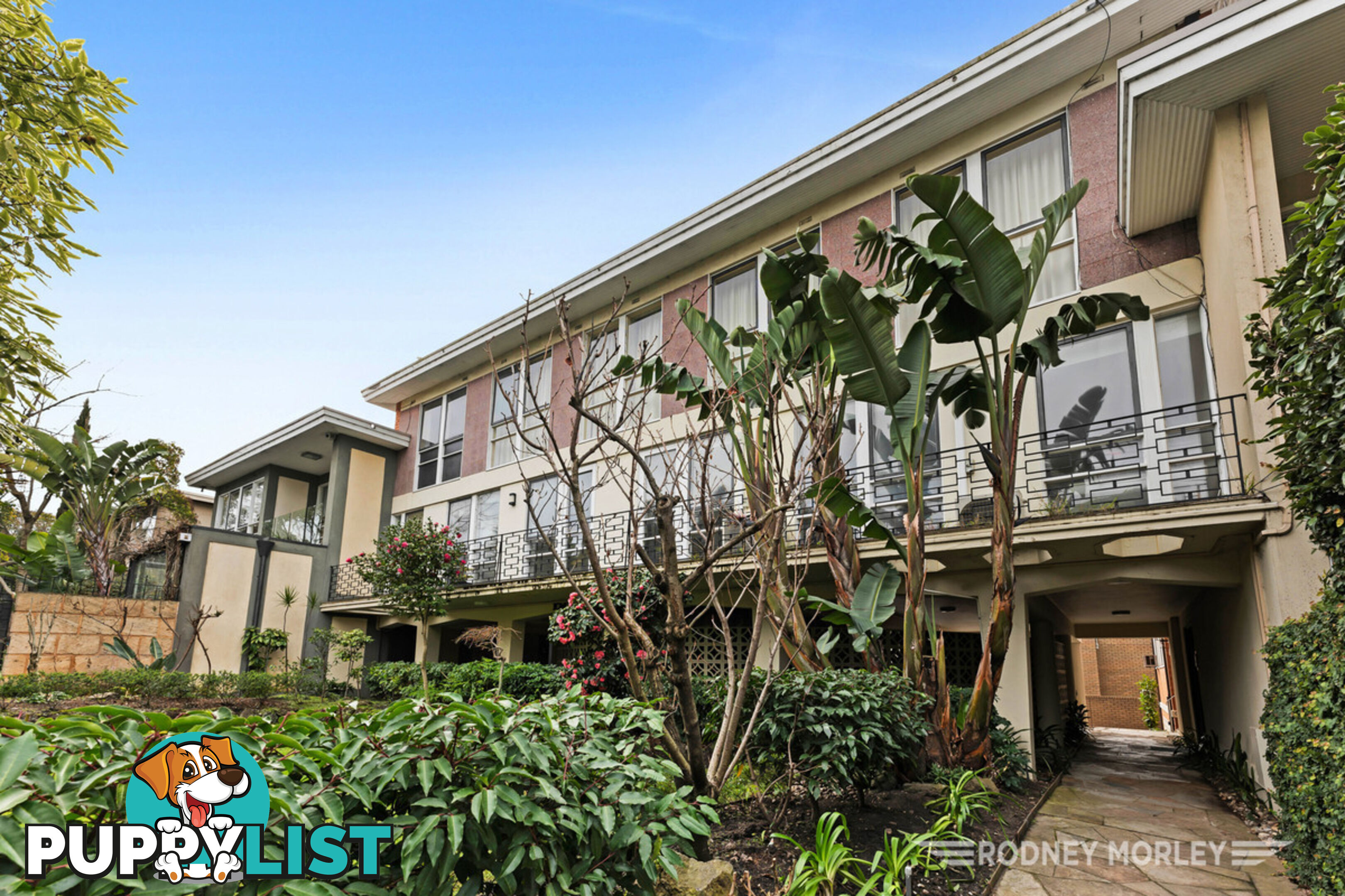 4 645 Toorak Road Toorak VIC 3142
