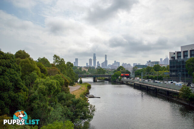 125-127 Alexandra Avenue South Yarra VIC 3141