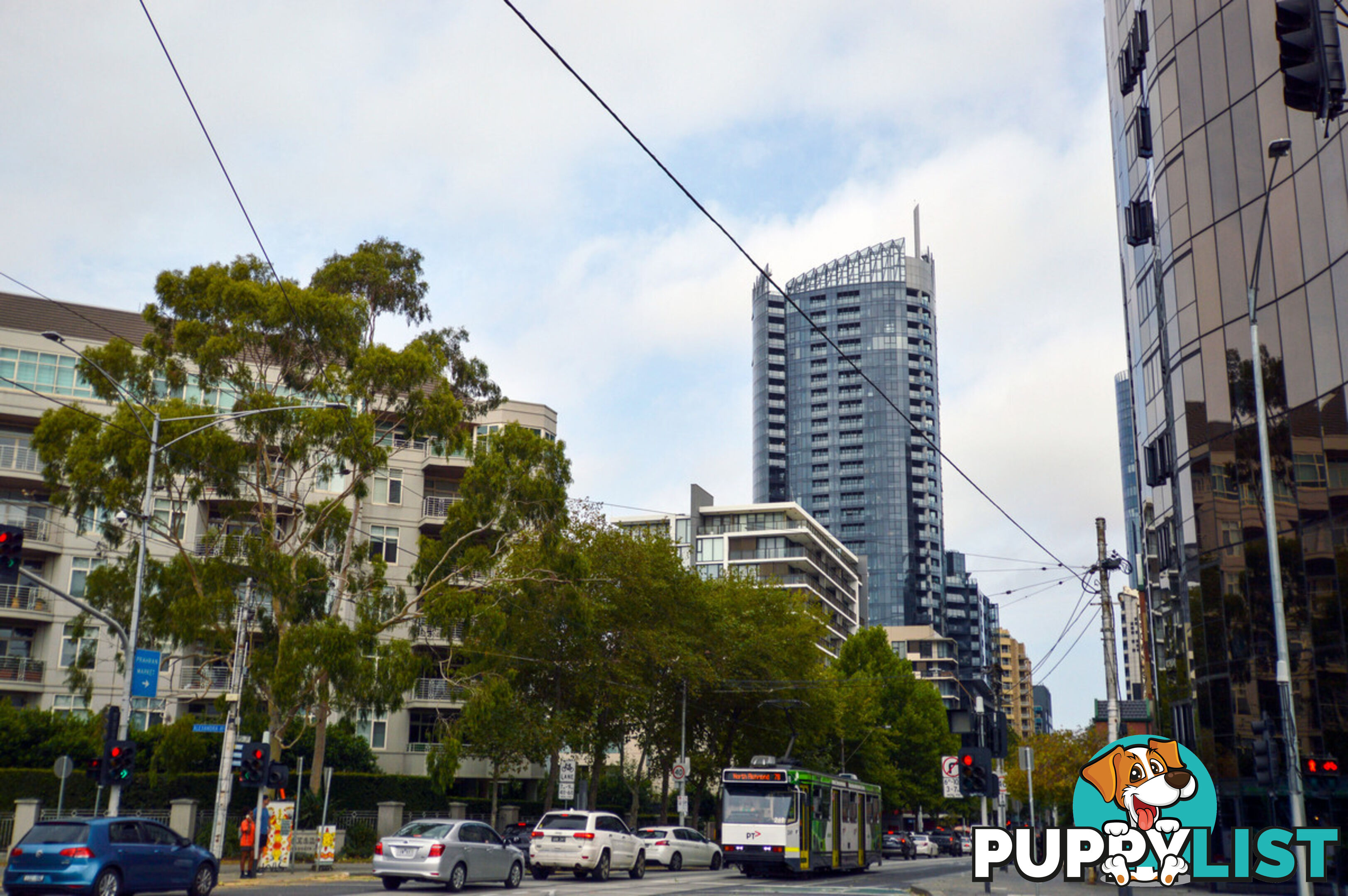 125-127 Alexandra Avenue South Yarra VIC 3141