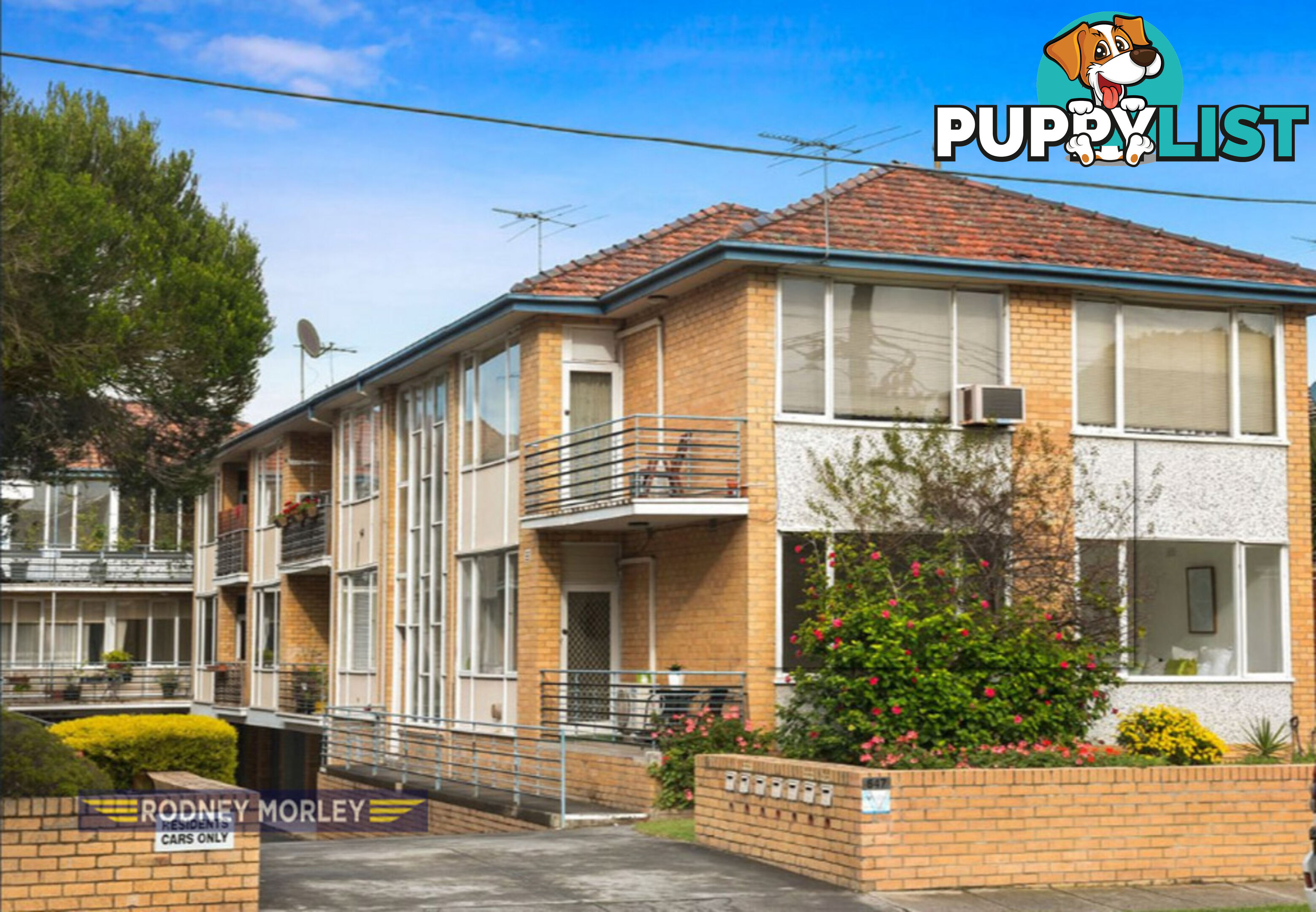 3 647 Inkerman Road Caulfield North VIC 3161